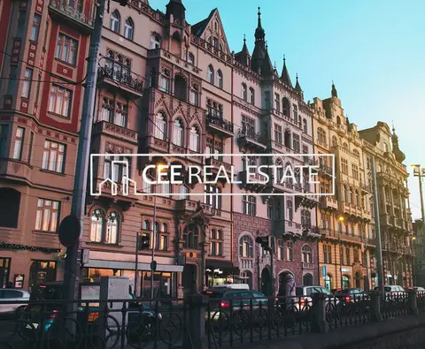 CEE Real Estate VI/2023