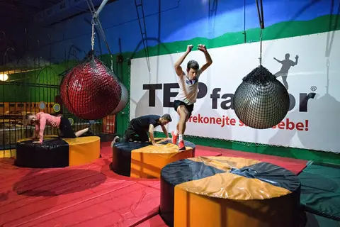 TEPfactor 7% / 2019