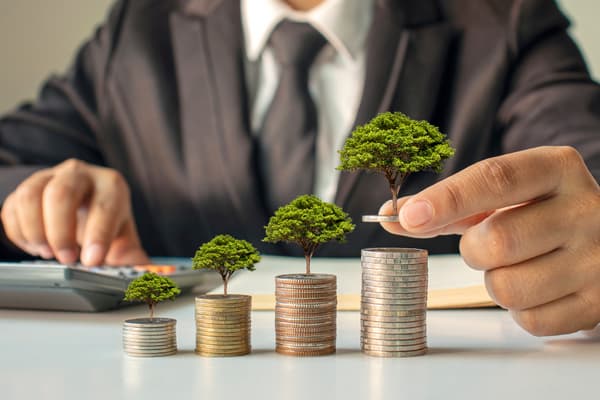 null finanční rezerva dluhopisomat
