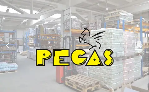 DLUHOPIS PEGAS XII/2029